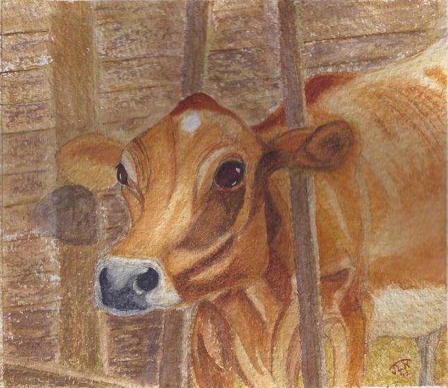 Ehman-May-2013-Hailey-painting-in-stanchion-at-Firesign-Family-Farm
